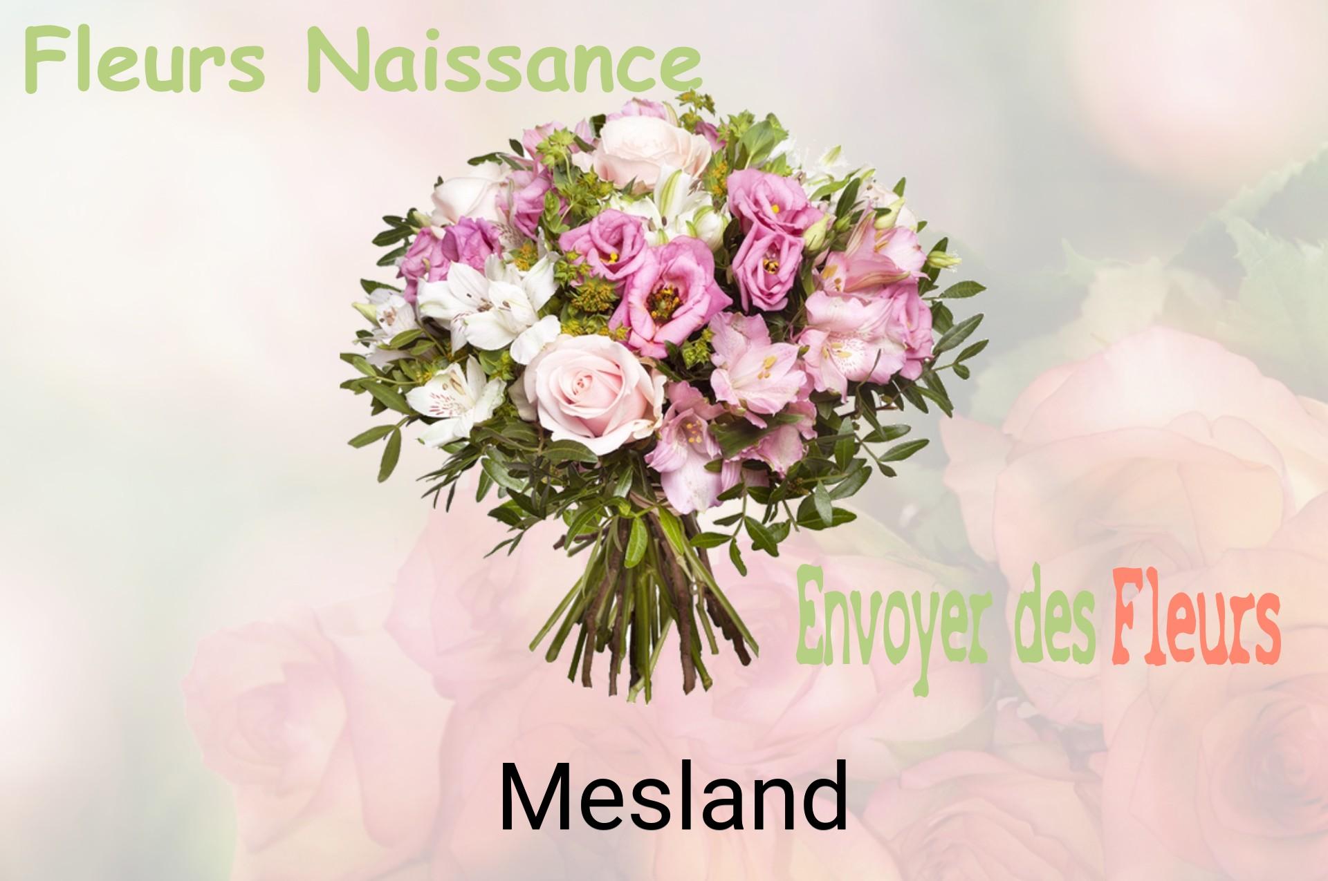 Bouquet de fleurs de naissance livré à Mesland
