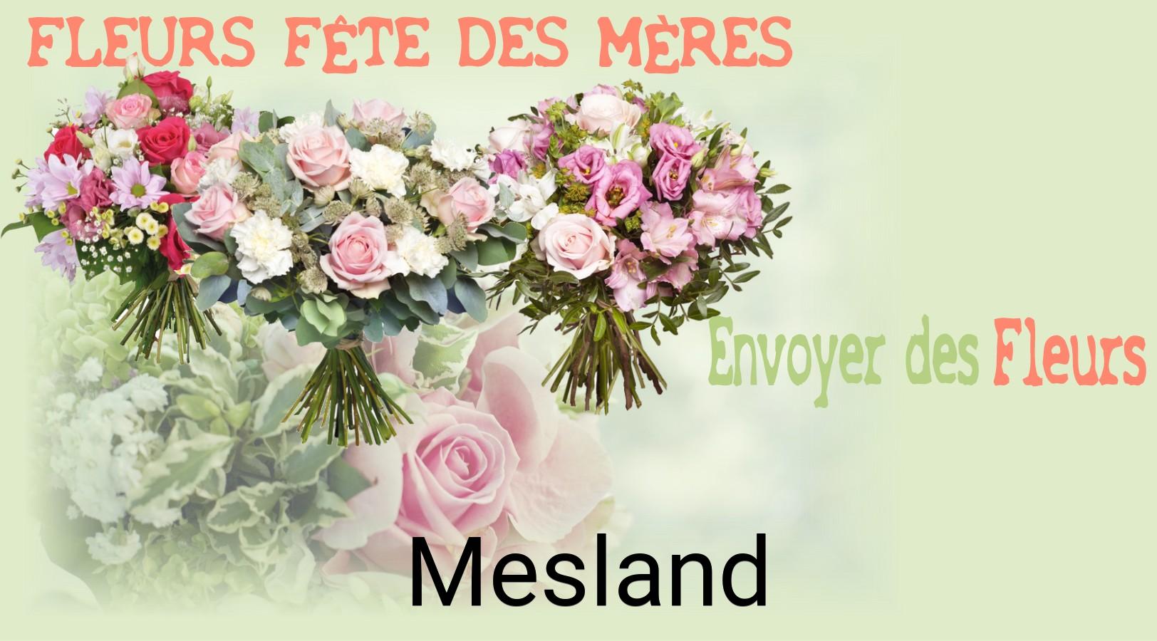 Bouquet de Fête des Mères livré à Mesland